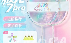 福建厦门靠谱的羽毛球拍品牌推荐，入门优选不踩坑