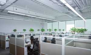 磐龙安全技术有限公司市场口碑怎么样，靠谱吗