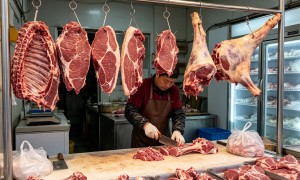 常州市成立多年的餐饮羊肉批发供应商推荐