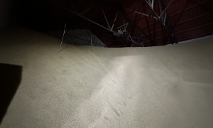 南粳大米10斤装生产厂家发展现状与市场占有率分析报告
