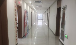想做专升本咨询选哪家机构合适，菏泽靠谱机构实力参考