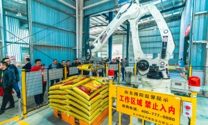 河北知名申亚生物生产厂家实力公司推荐：排名前五、省心之选