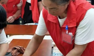 广州家具美容培训学校找哪几个、专业哪家便宜、正规选哪家好，本地机构实力参考