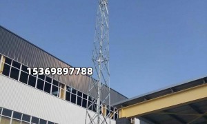 成立多年的避雷塔生产厂家，具备特殊规格定制与现场服务能力的公司汇总