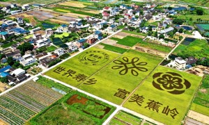 2026年广州天然泉水优质生产商靠谱商家怎么选?