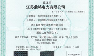江苏鼎鸿电力在上海可靠吗，技术对接专业不专业