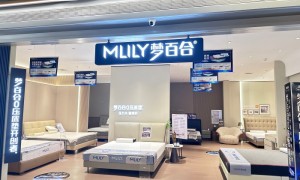 2026年家居一站式服务品牌企业实力与用户口碑深度解析