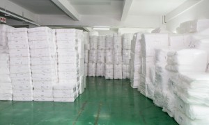 东莞全降解袋源头厂家实力参考，2026年行业全景分析