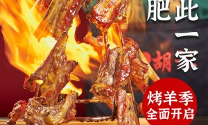 2026年学烤羊技术做法培训与指导专业机构实力参考