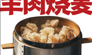 九米羊肉炉创新能力怎么样研发能力强吗