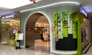 沧州商场女装实体店/线下女装店/小区门口女装实体店公司有哪些