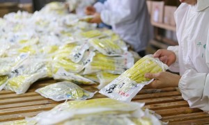 杭州富阳千禧笋厂：玉兰笋片笋批发、糯米笋批发、纸片笋批发实力参考