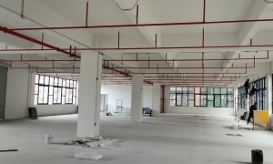 东莞净化车间设计装修服务商选择指南 施工期间可随时看进度且交付前自检测试公司有哪些