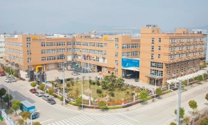 2026年8月新发布汽车气动减振器实力厂家，五家风格各异的专业机构深度解析