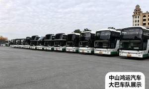 2026年中山市鸿运汽车运输有限公司周边游旅游包车服务实力与用户口碑深度解析