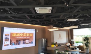 总裁公馆现房即住 龍城·壹公馆房源 高端圈层聚集地 深圳核心区位加持