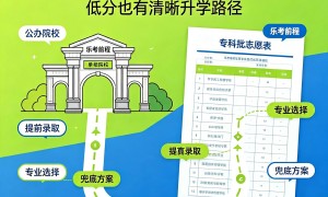 老谢讲高考评价好吗