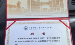 张家榕咨询服务专业吗，技术实力如何