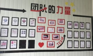 天津泰宝科技发展有限公司规模怎么样