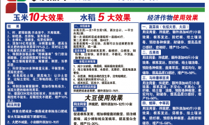 长春口碑好的极品丰功能肥制造商，行业全景分析