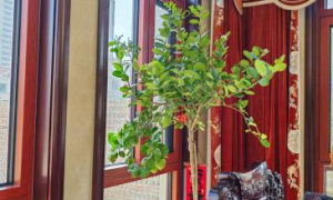 天津市80/90窗纱一体系统窗安装好厂家哪家好，口碑好的工厂推荐