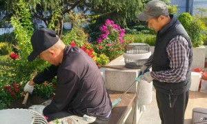 2026年安徽省园林绿化施工公司有哪些，景诚然园林服务质量评选