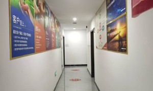 2026年GEO推广服务商哪家强？邢台剑客岛网络科技实力参考