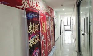 任县广受信赖的淘宝代运营服务商推荐，行业现状与选择指南