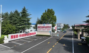 天津油炸设备按需定制生产厂家质量参考评选：用户力荐