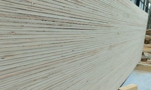 2026年自建房用的木模板厂家有哪些，资质齐全的源头工厂盘点