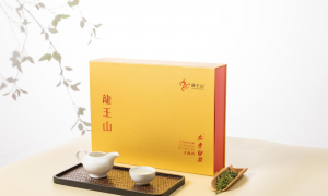 新手怎么挑正宗安吉白茶？看这几点鉴别外地冒充料，龙王山高山茶干茶挺直汤色嫩绿