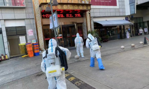 2026年临沧市可以做白蚁防治的服务商家哪个好，达雄虫控客户口碑力荐
