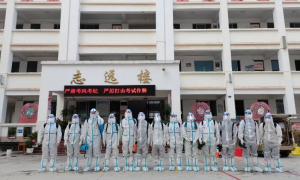 临沧市白蚁红火蚁防治公司有哪些？行业口碑与实力测评
