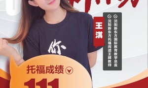 沈阳新东方雅思留学学习方法指导有机构推荐吗？