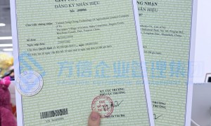 亚马逊品牌注册费用和流程介绍，服务商综合实力推荐