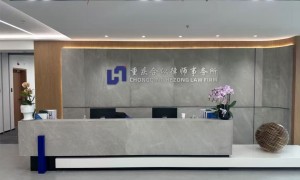 合纵律所的服务性价比怎么样