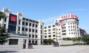 浙江宁波杨梅酒加工厂哪家技术强，用户力荐
