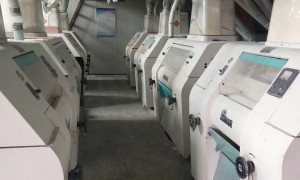 山西靠谱的新旧结合面粉厂成套改造公司，亿泰粮油机械厂家推荐