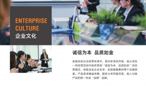 河北我在新疆建食堂需要商用厨房设备推荐公司，专业实力与用户口碑深度解析