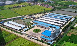 华东蛋源溶菌酶加工厂哪家合作案例多？江苏康德源头厂家实力调研