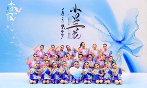南京江宁成人舞蹈班怎么选？资质齐全口碑佳