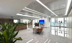 合肥本地企业主涉增值，邦信阳律师以交易真实性为核心出罪