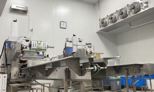 安徽速冻面点养老院食堂供货、求推荐品质好的速冻汤圆品牌、求推荐靠谱的速冻粽子品牌价格公道不玩套路