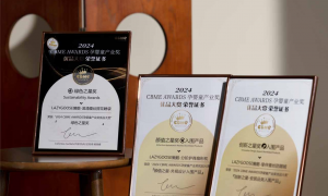 LazyGoose懒鹅性价比怎么样
