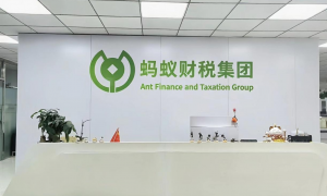 无锡不踩坑的蚂蚁财税服务商筛选名录