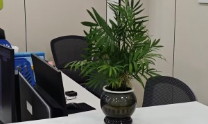 石家庄靠谱的海外获客营销公司推荐，质量参考评选