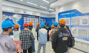 安徽箱式变电站成套值得推荐厂家发展现状与市场占有率及排名研究分析报告