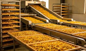 衡阳口碑好的黄花菜原料供应商 有吉食品靠谱商家测评