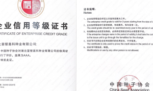 水稻种子畅销品牌有哪些 湖北荃银高科种业有限公司实力参考