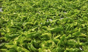 企业食堂食材配送靠谱供应商综合实力推荐